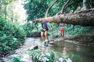 BIB: 
                            <button type="button" onclick="openModal(25430978)" class="btn btn-primary btn-sm float-right btn-popup" data-toggle="modal" data-target=".modal-high-quality">
                        <i class="fas fa-shopping-cart"></i> Add to Cart
                    </button>
                                            <button type="button" onclick="isThisMe(25430978, true)" class="btn btn-success btn-sm float-right btn-popup btn-isme hidden" data-toggle="tooltip" data-placement="bottom" title="นี่คือรูปของคุณใช่ไหม คลิกที่นี่เพื่อเอาเข้าอัลบั้ม">
                        <i class="fas fa-plus"></i> Add to album
                    </button>
                    <button type="button" onclick="isThisMe(25430978, false)" class="btn btn-warning btn-sm float-right btn-popup btn-isnotme hidden">
                        <i class="fas fa-ban"></i> Remove from album
                    </button>